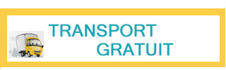 transport-gratuit-la-achizitie-generator